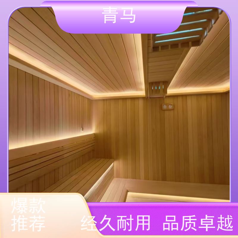 青马 小型干蒸桑拿房 按需定制 一站式服务 产品质量保障