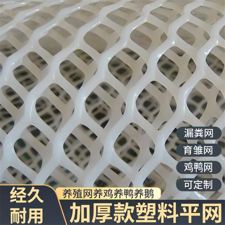特信 塑料网子围栏 可重复使用 鸡鸭垫底漏粪网
