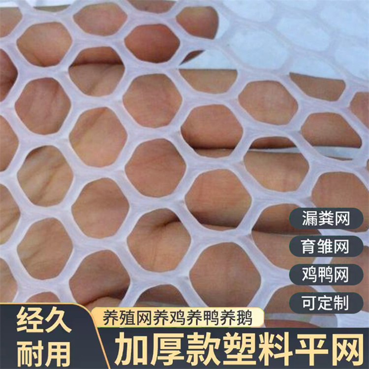 特信 结实耐用 养殖漏粪网白色养鸡脚垫 塑料滤网