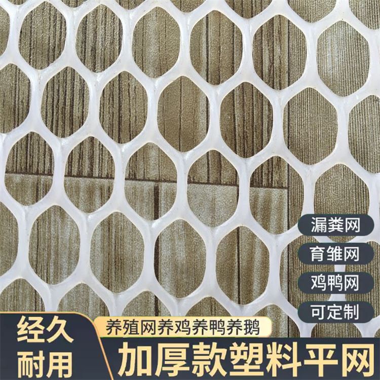 特信 厂家直供 塑料防护网 养鸡笼子家用养殖专用网