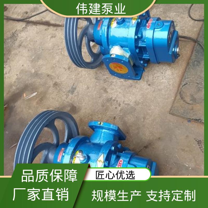 伟建生产 不锈钢齿轮泵 耐磨性能好 无泄漏效率高