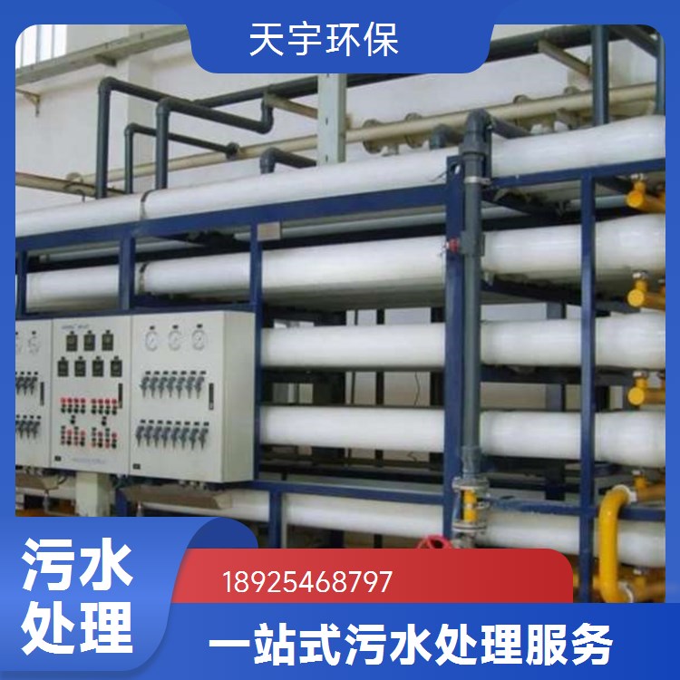 天宇生产 可定制 小型超纯水设备 2吨 一手好货 长期供应