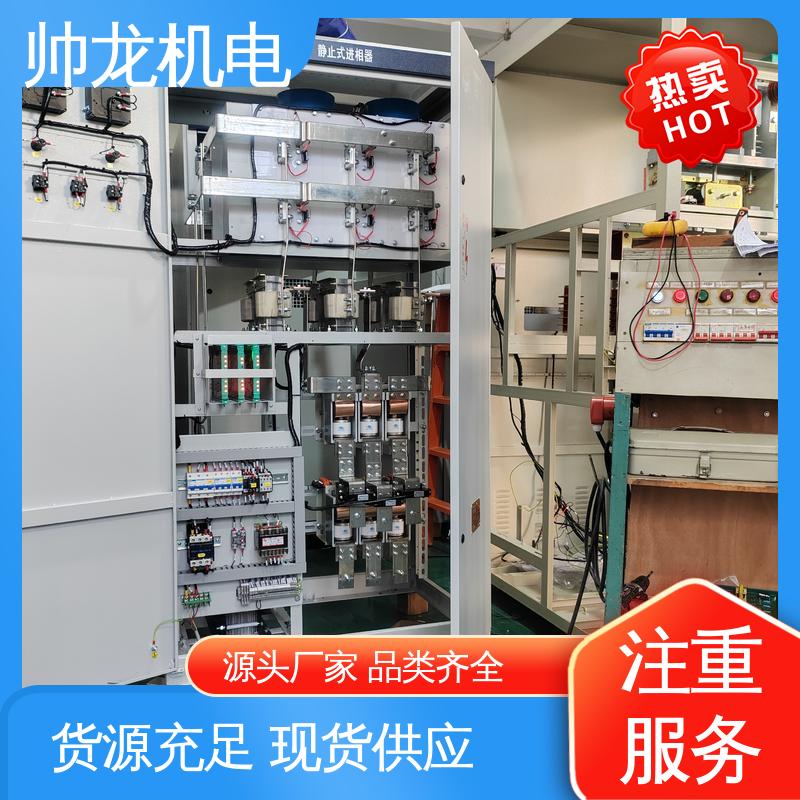 支持定制 售后保证 静止式进相器 智能型/造纸厂 重 庆