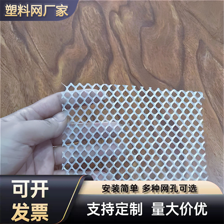 特信 工程塑料网 结实耐用 养鸡笼子家用养殖专用网