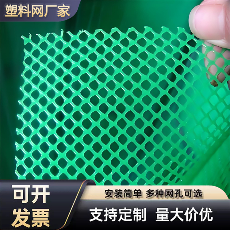 特信 安心施工 黑塑料网 养鸡笼子家用养殖专用网
