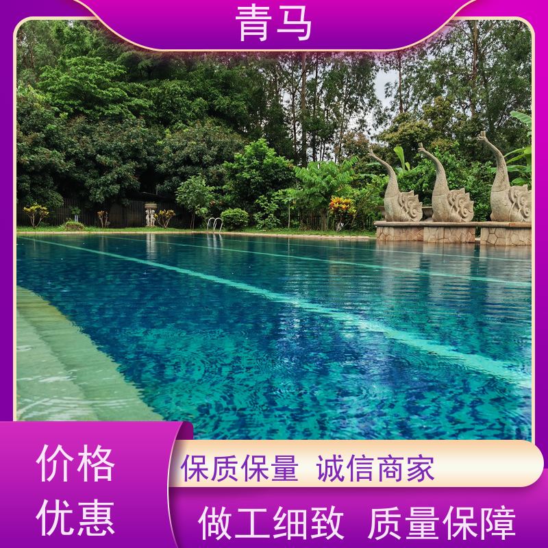 青马 休闲游泳池 适用于体育馆 设计 施工 维护 一站式服务