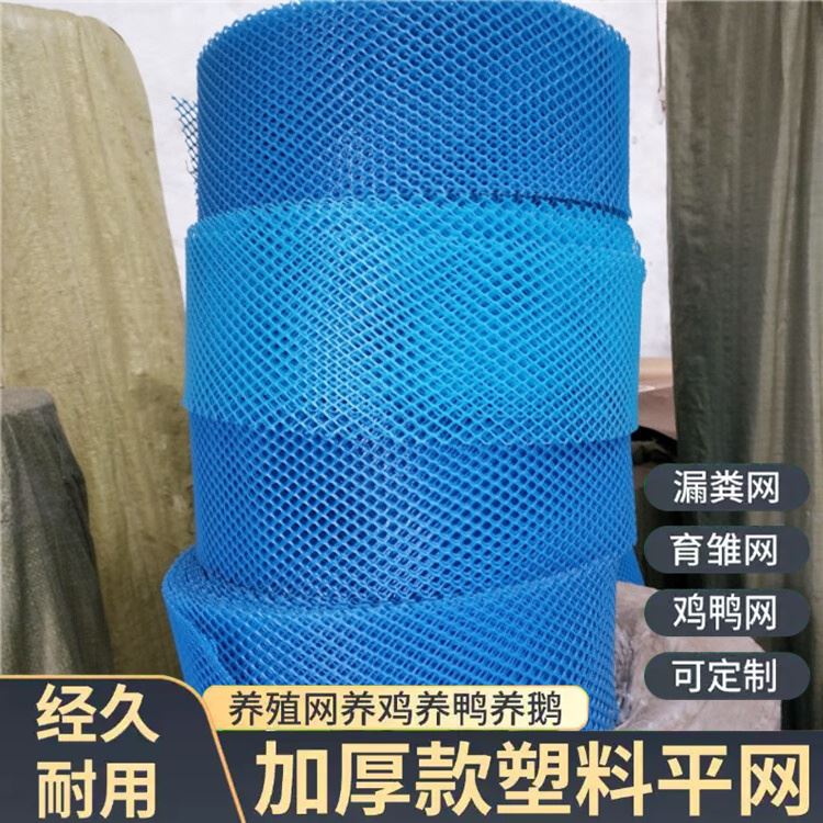 特信 养鸡笼子家用养殖专用网 货源充足 塑料平网生产厂家