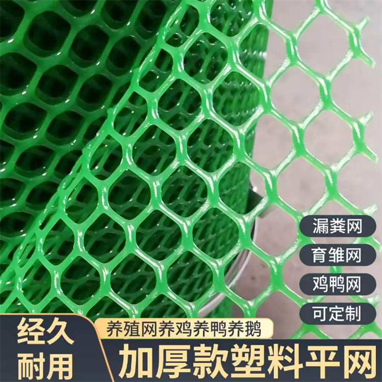 特信 养鸡笼子家用养殖专用网 厂家直供 晾晒塑料网