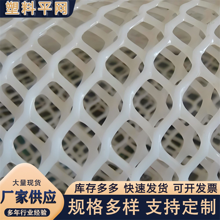 奥吉 塑胶原料网 厂家供应 养鸡笼子家用养殖专用网