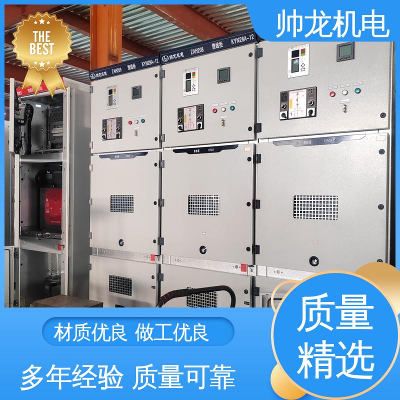 馈线柜 工艺精湛 提供技术服务 运行稳定 平稳可控 帅龙
