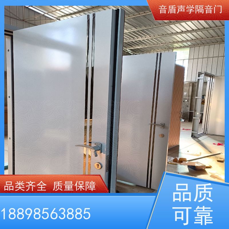 音盾 音乐教室 防火隔音门 值得信赖 定制生产厂家