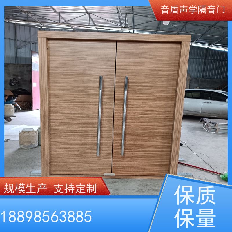 音盾声学 音乐教室 防火隔音门 品质保证 厂家批发