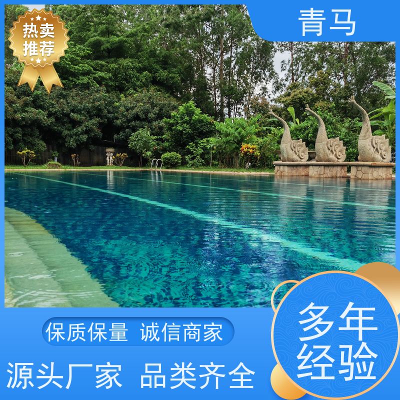 青马 别墅游泳池 适用于健身俱乐部 现代简约 多种颜色
