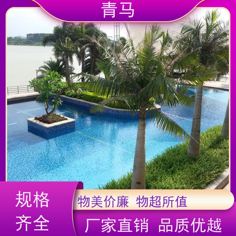 青马 公共泳池 适用于水上乐园 按需定制 免费测量