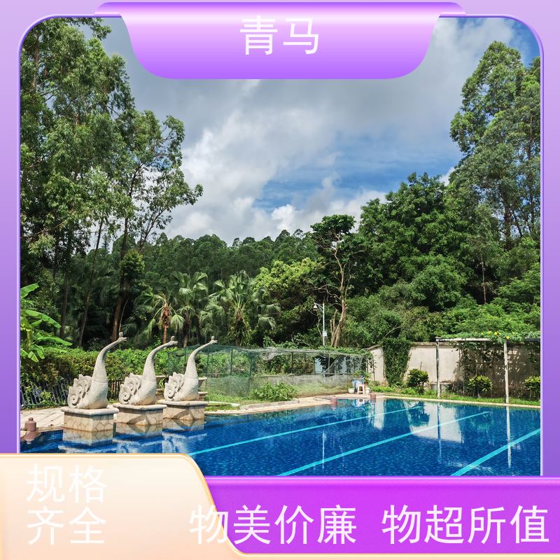 青马 屋顶泳池 适用于健身俱乐部 按需定制 免费测量