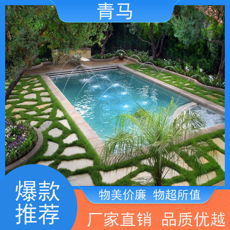 青马 豪华游泳池 适用于体育馆 现代简约 多种颜色
