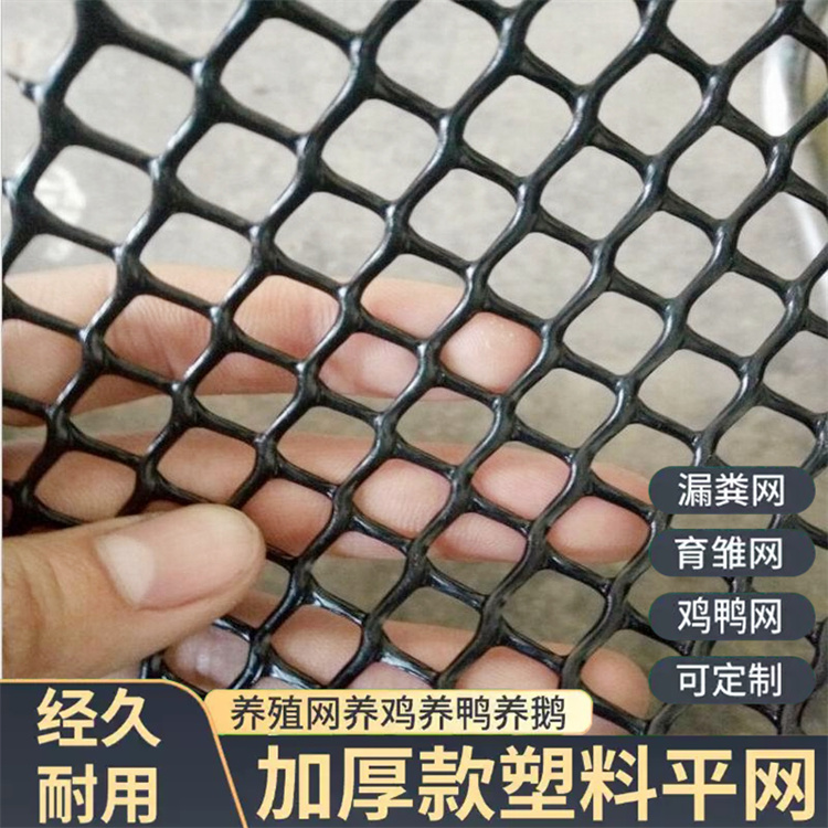 特信 包工包料 聚乙烯塑料平网 大棚水产养殖网