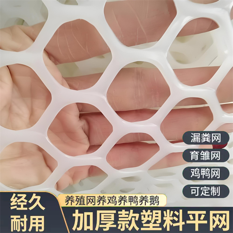 特信 稳固耐用 晾晒塑料网 养鸡笼子家用养殖专用网