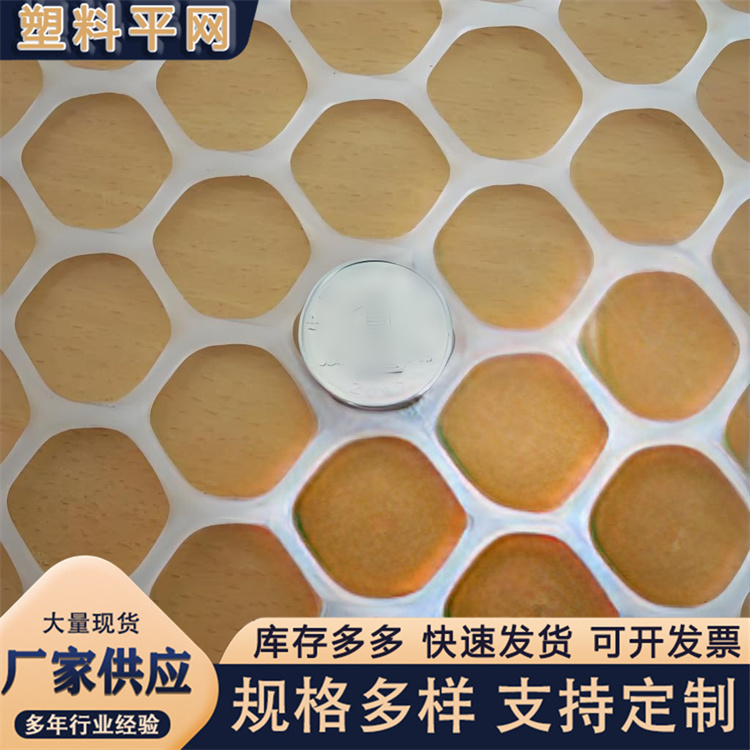 奥吉 养鸡笼子家用养殖专用网 材质优良 聚乙烯塑料平网