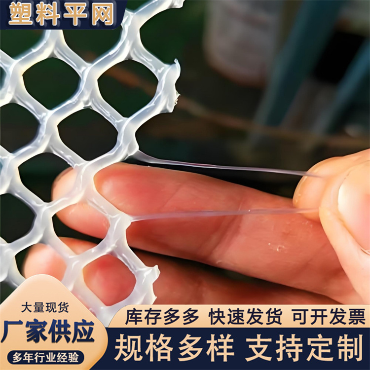 奥吉 孔型齐全 围菜园的塑料网 农村养殖场用网