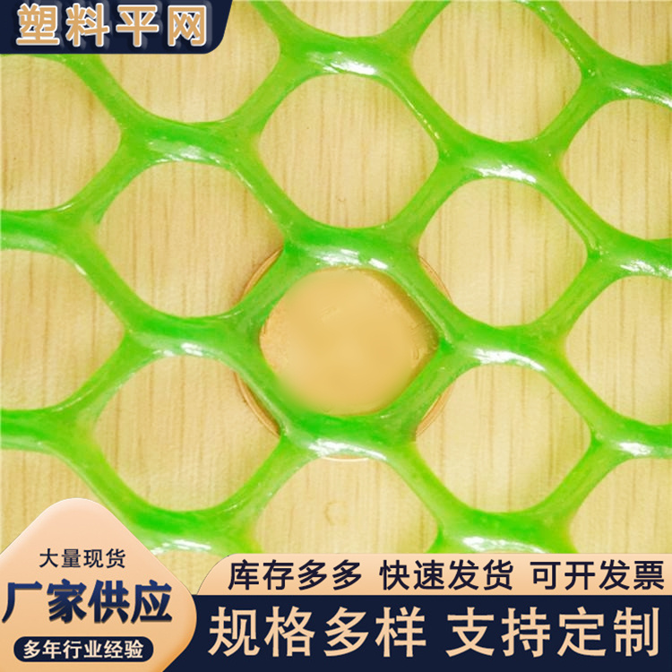 奥吉 塑料过滤网 按需定制 养鸡笼子家用养殖专用网