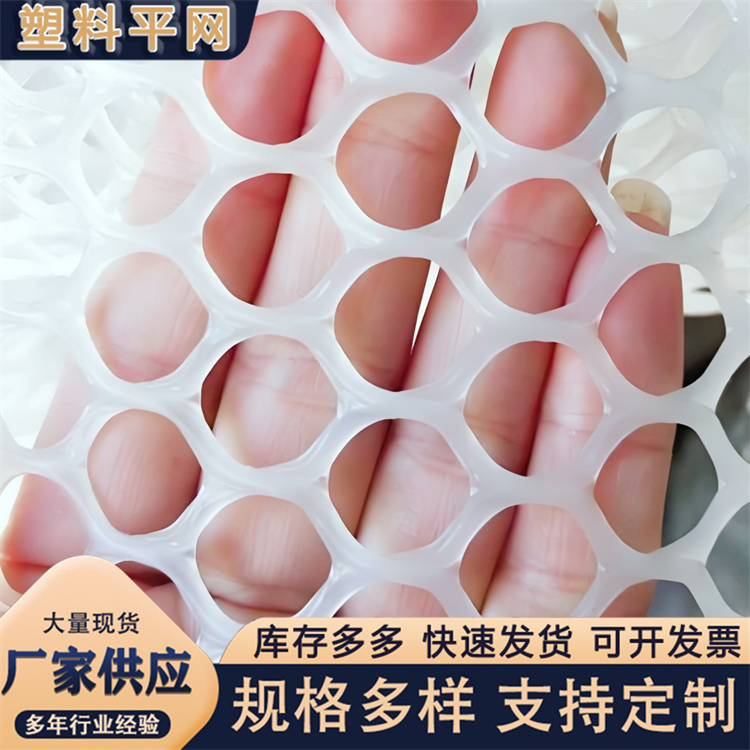 奥吉 养鸡笼子家用养殖专用网 耐腐蚀 聚乙烯纯网