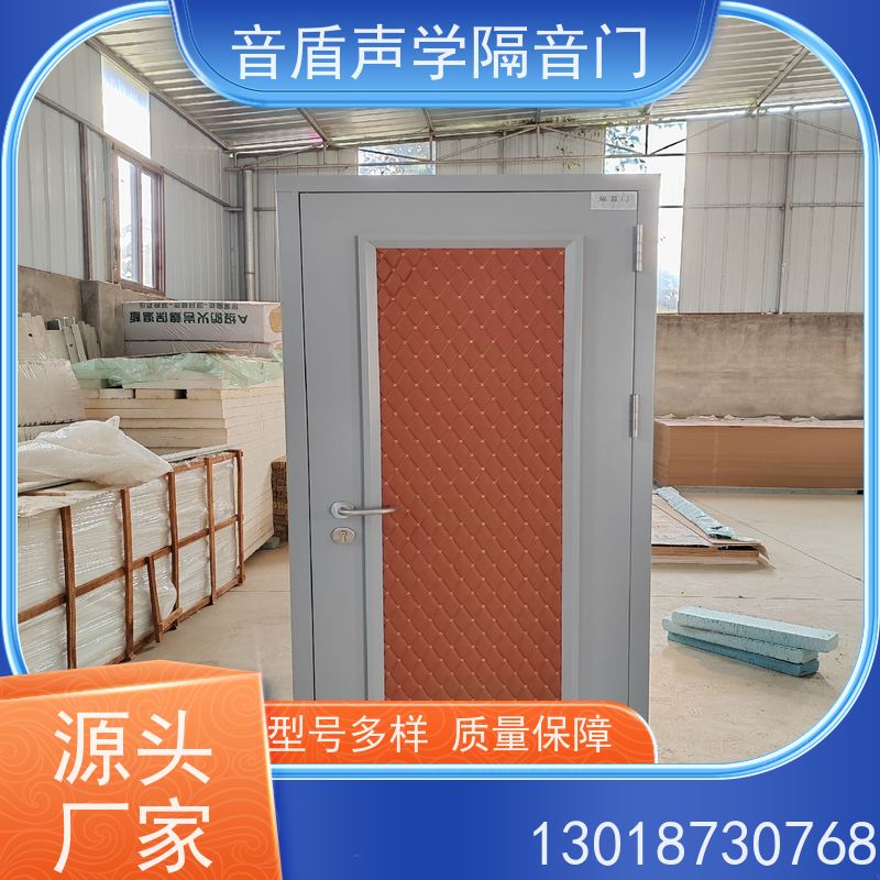 音盾科技 电影院 防火隔音门 品质保证 生产批发厂家
