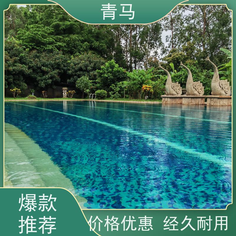 青马 公共泳池 适用于温泉度假村 按需定制 免费测量
