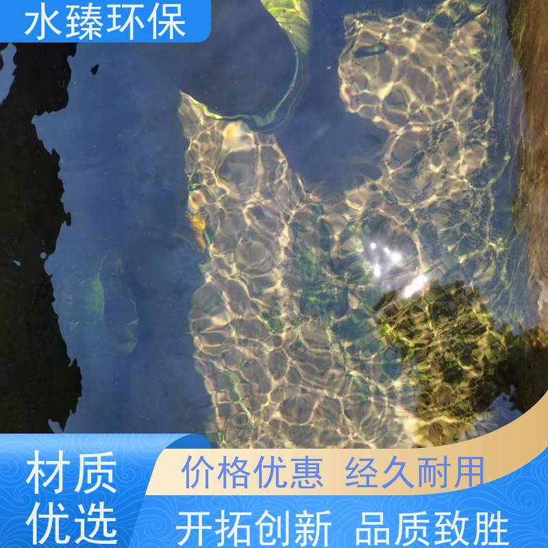 水臻环保 MBR一体化设备 污泥接近零排放 适用于化工厂污水处理