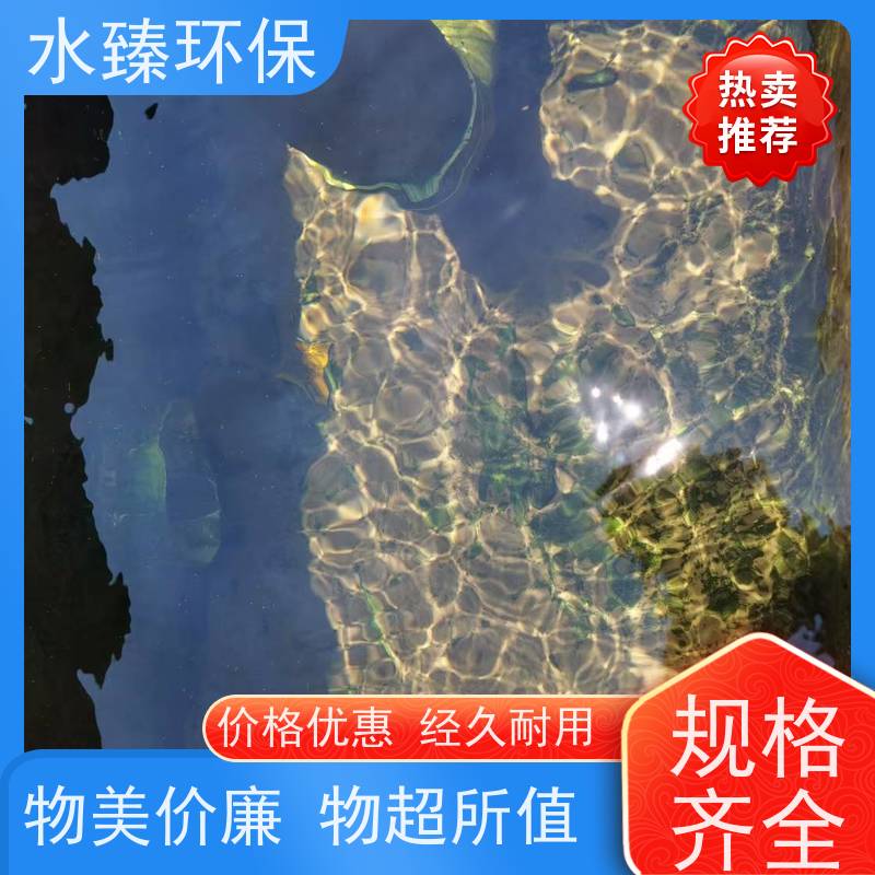 水臻环保 一体化设备 全自动产水 运营成本低 适用于化工厂污水处理