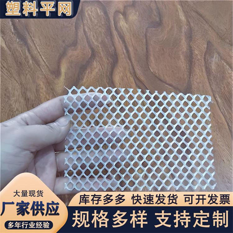 奥吉 养鸡笼子家用养殖专用网 质量优良 塑料平网厂家