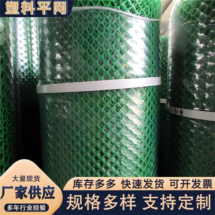 奥吉 安全可靠 塑料滤网 养鸡笼子家用养殖专用网