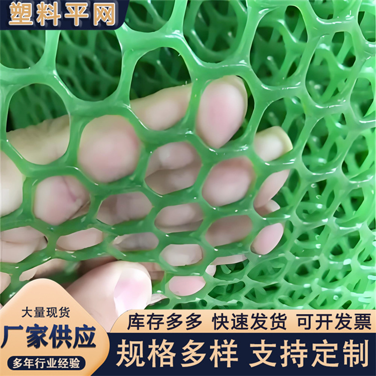 奥吉 塑料平网生产厂家 孔型齐全 农村养殖场用网