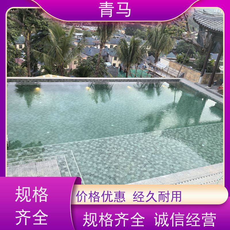 青马 酒店泳池 适用于体育馆 现代简约 多种颜色