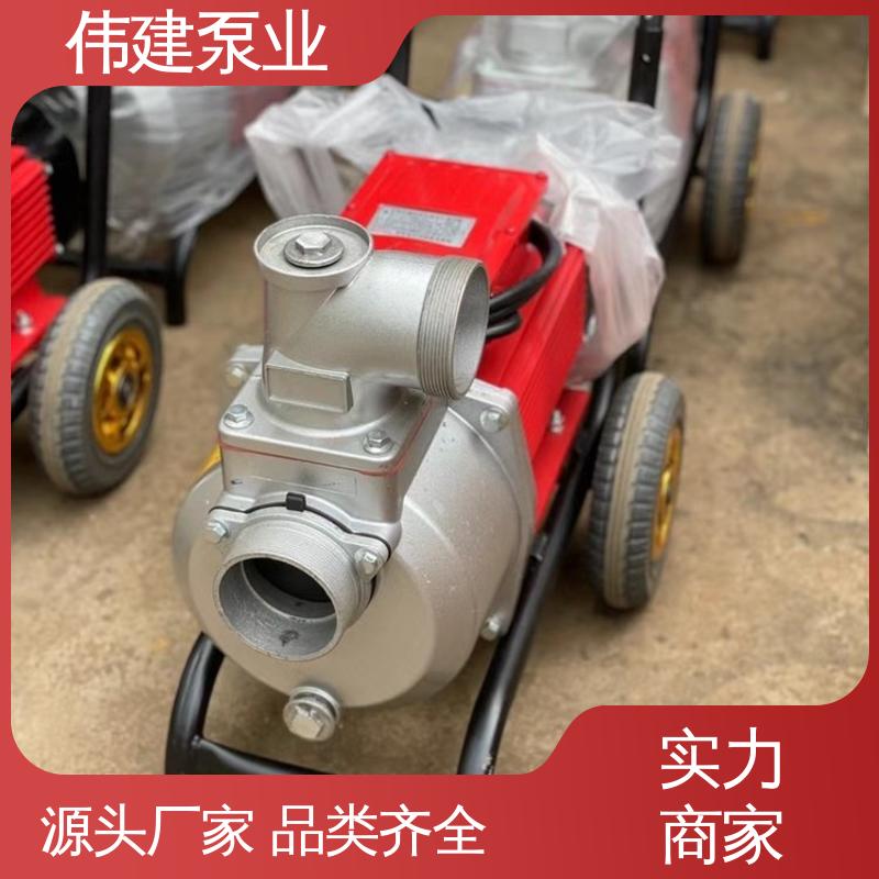 LC高粘度罗茨泵 化工产品输送用 支持定制 运行可靠 伟建供应