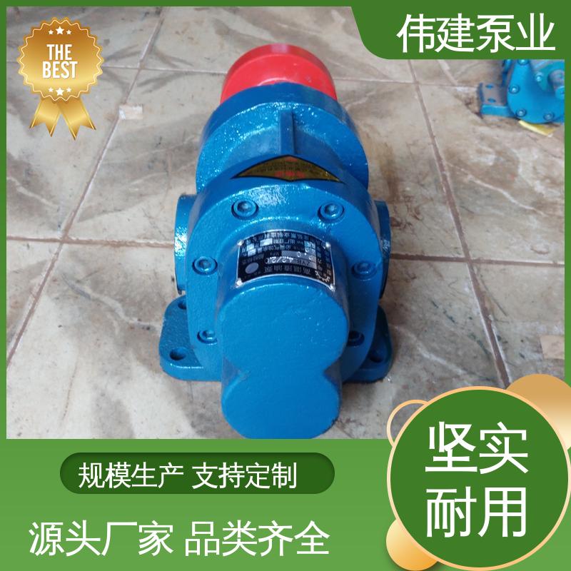 伟建生产 不锈钢齿轮泵 无泄漏效率高 机油柴油液运输用 电动抽油式