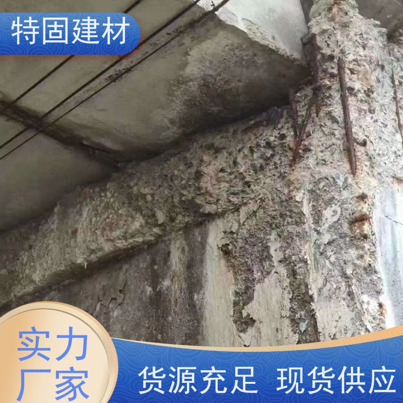 水性环氧树脂砂浆 高流态耐腐蚀 工厂供应 发货及时 特固建材