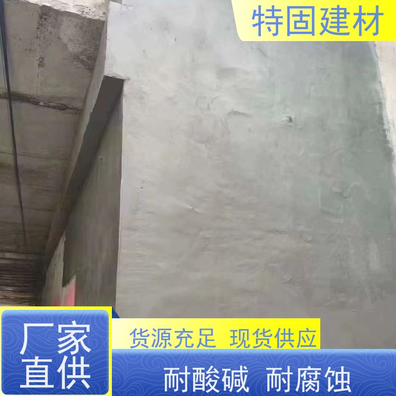 水性环氧树脂砂浆 高强度抗压 工厂供应 发货及时 特固建材