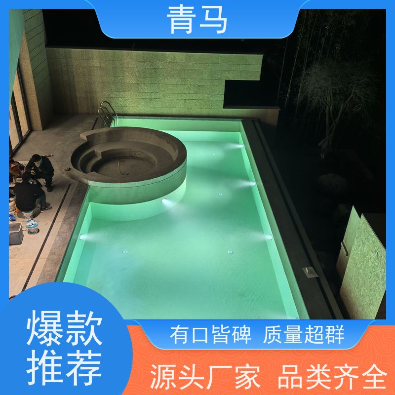 青马 私人游泳池 适用于小区民宿 设计 施工 维护 一站式服务