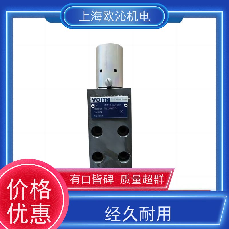VOITH福伊特高流量止回阀DS-250-P0-300-S-P原装正品按需定制