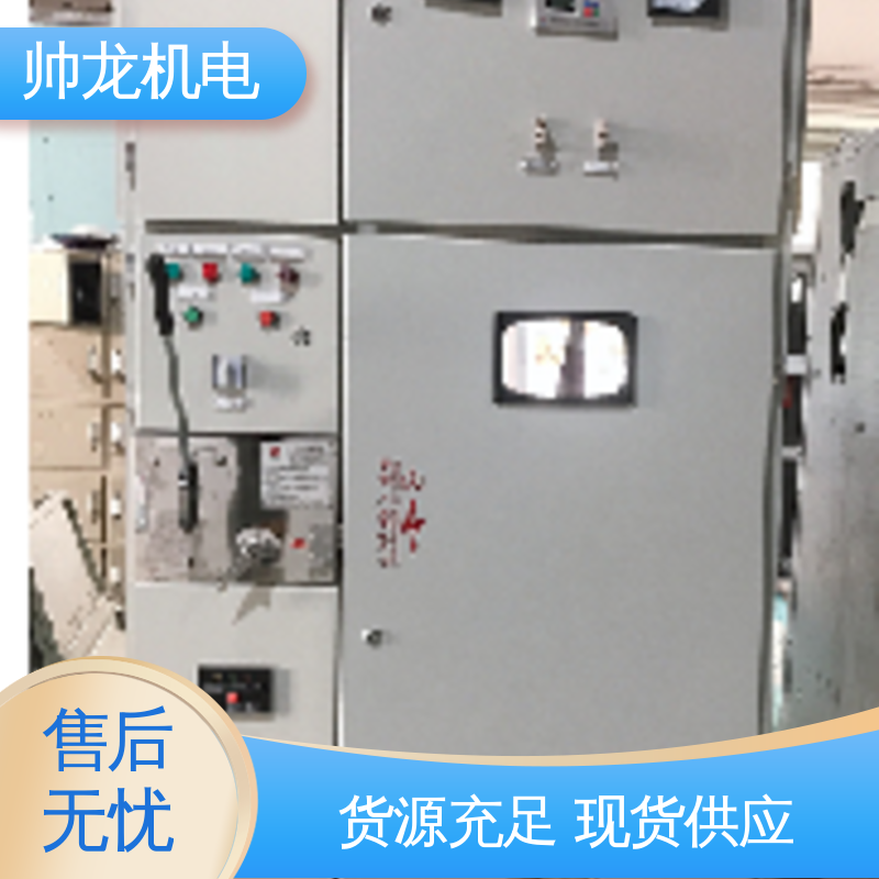 湖 北帅龙机电 经济实惠 保护全面 高压 应用广泛 资质齐全 HXGN-12