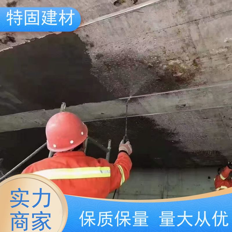 聚合物修补砂浆 耐酸碱耐腐蚀 免费指导 源头工厂 特固新型建材
