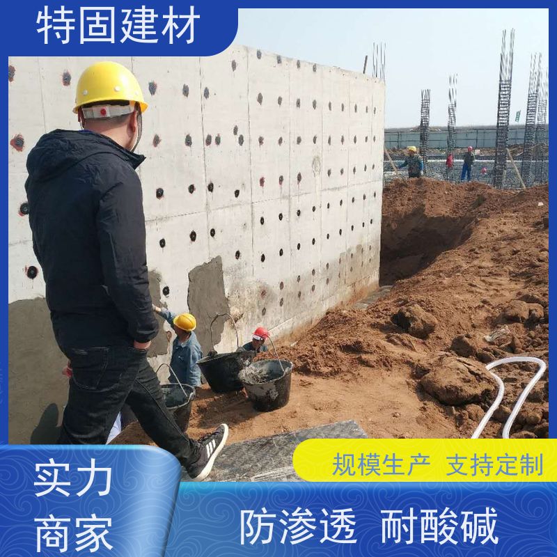 聚合物修补砂浆 防渗透耐酸碱 厂家直供 特固新型建材