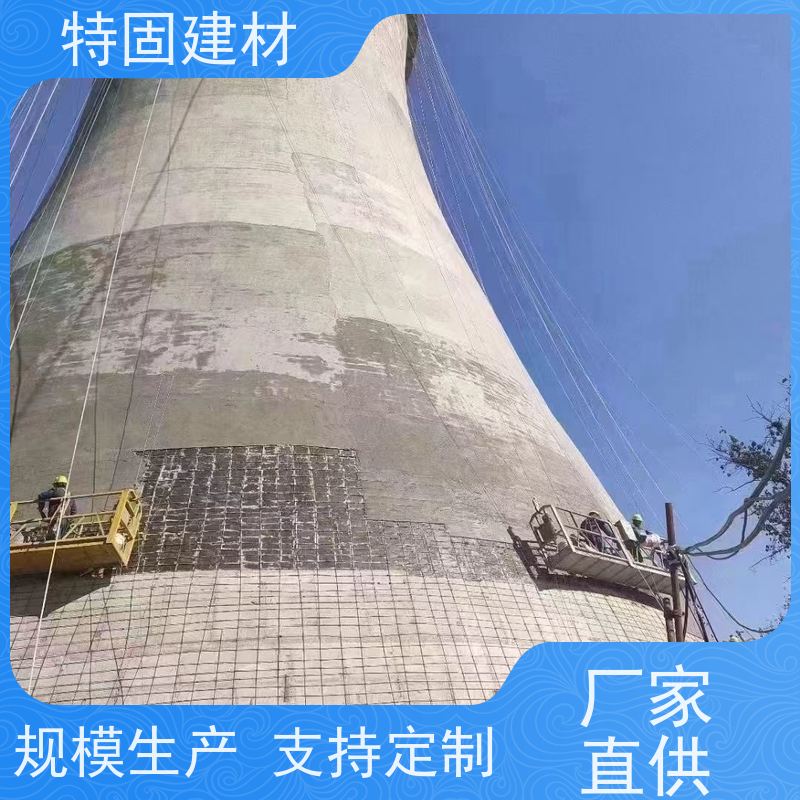 聚合物修补砂浆 高流态耐腐蚀 免费指导 源头工厂 特固新型建材