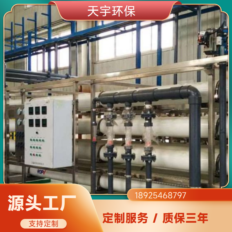 水处理电除盐膜堆 电解去离子水提纯设备 天宇环保 RO 超纯水设备