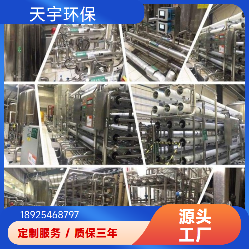 天宇生产 双级反渗透设备 0.5吨 软化水设备 纯水系统
