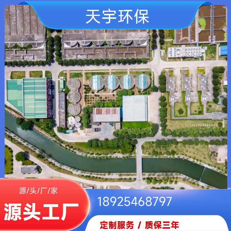 天宇环保 2吨 化工行业 混床可选 可定制 反渗透水处理设备