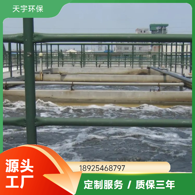 天宇环保 纯化水设备 耐腐蚀 抗氧化 易维护 去离子水设备