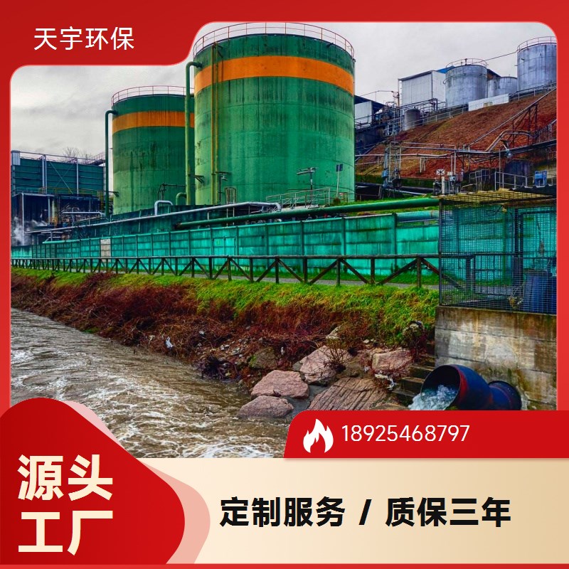 可定制 化工行业 混床可选 超纯水设备生产 天宇环保