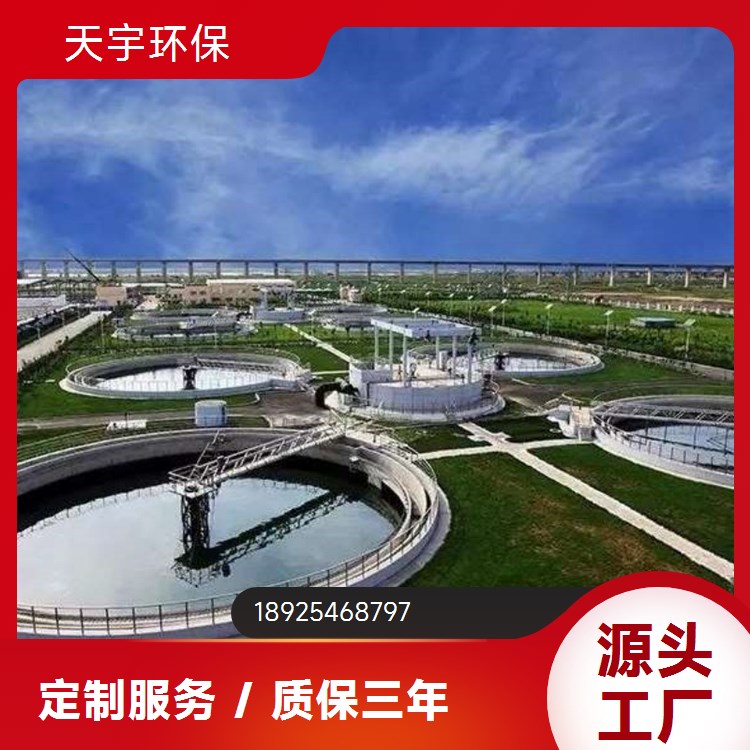 天宇环保 1吨 双级反渗透设备 非标定制 服务完善 可批发